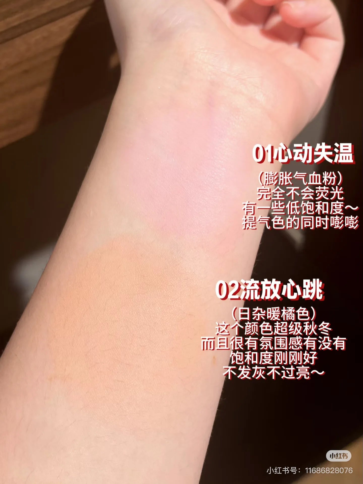 Blush Palette Brighten Face Natural Makeup Lip Eyeliner