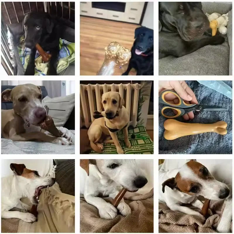 Dog Bone Chews Toys Nearly Ind estructible Natural Non-Toxic Anti-bite Puppy Toys For Small Medium Large Dog Pet Chew Toy