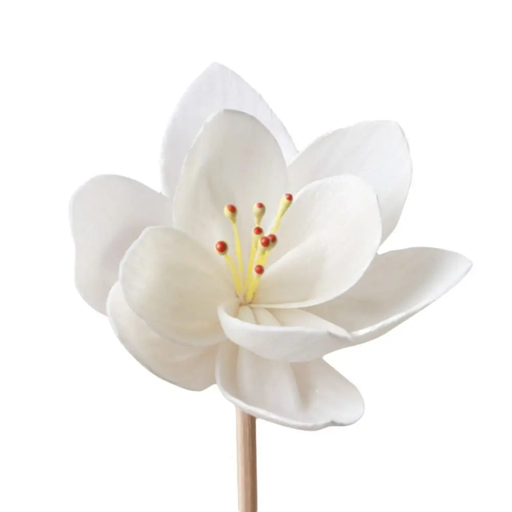 Lasting 5cm For Home For Aromatherapy Natural Handmade Fragrance Tongcao Flower Aromatic Incense Diffuser Sticks Dried Flowers