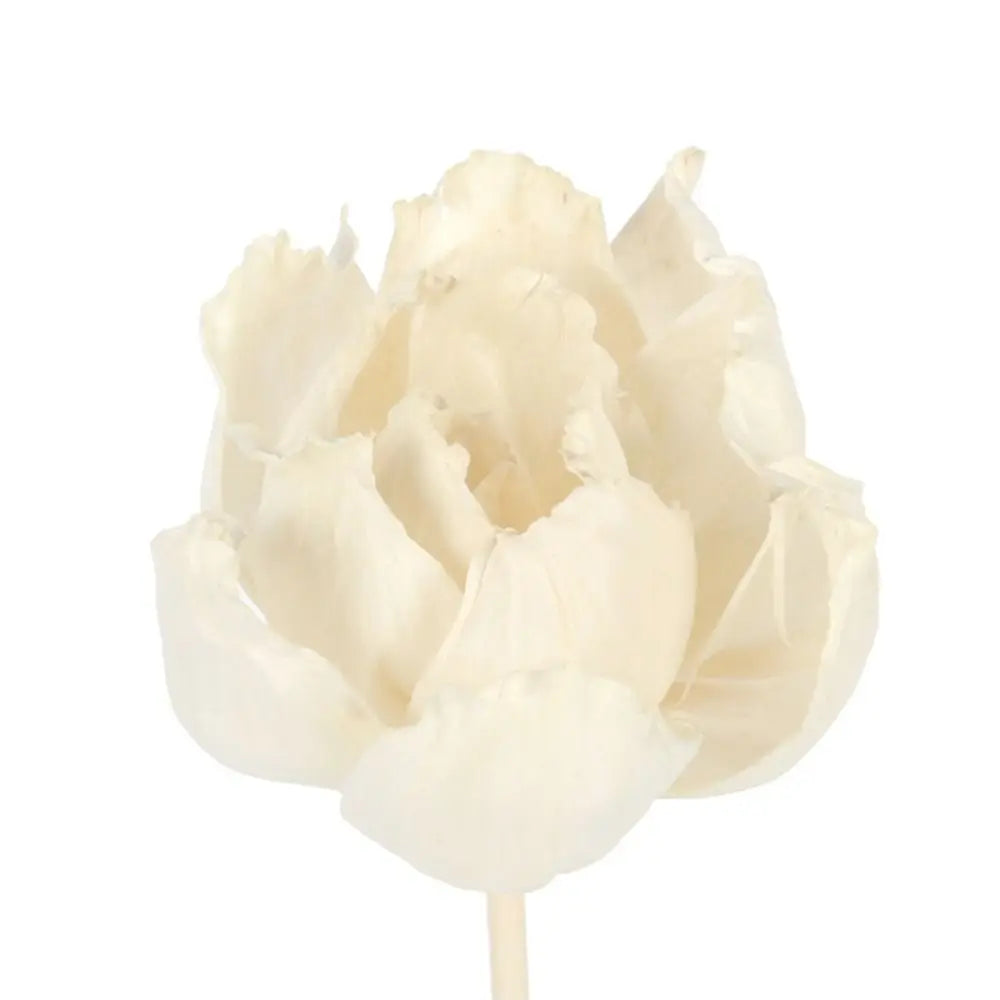 Lasting 5cm For Home For Aromatherapy Natural Handmade Fragrance Tongcao Flower Aromatic Incense Diffuser Sticks Dried Flowers